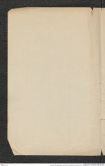 Nachlass Franz Steindachner, historischer Umschlag Korrespondenz Gustav Schneider (461.47 - 461.55), Inv.Nr. 461.56, Seite 2